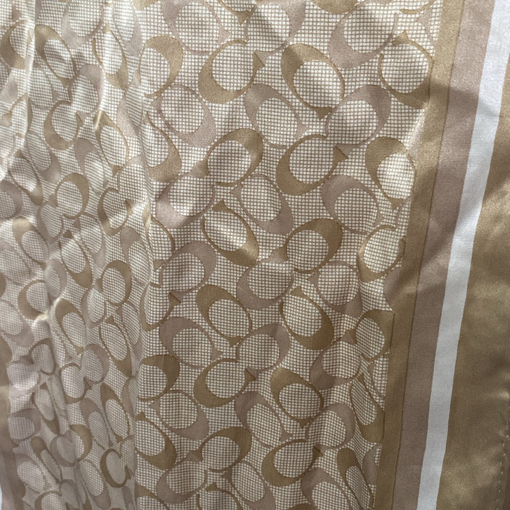 Silk Coach scarf